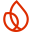 Firebase